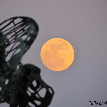 Apartment Orama Front Sea Giardini Naxos